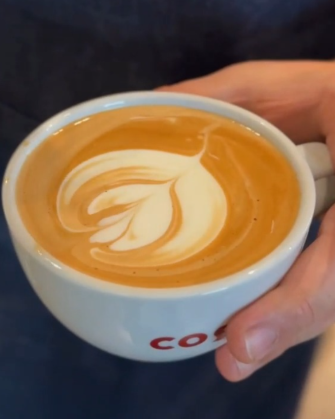 Untitled design (52)